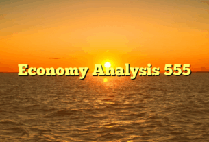 Economy Analysis 555