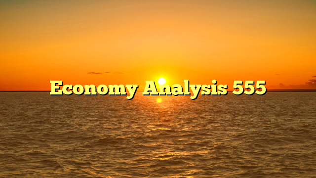 Economy Analysis 555