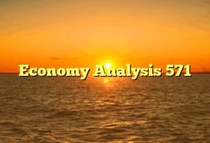 Economy Analysis 571