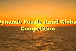 Dynamic Puzzle Amid Global Competition