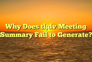 Why Does tl;dv Meeting Summary Fail to Generate?